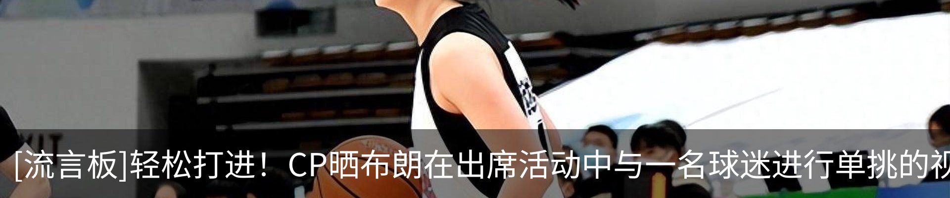 新闻动态